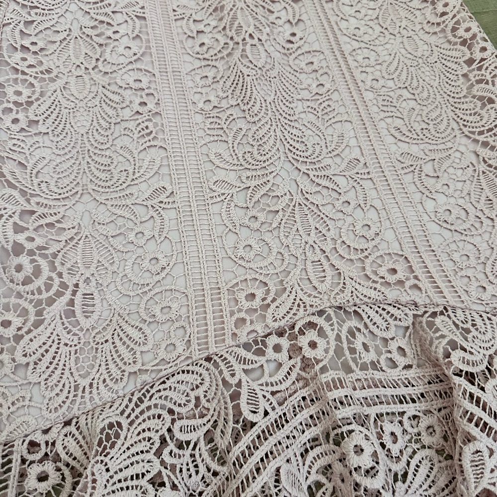 Guess Blush Lace Midi Dress - Picture 11 of 11